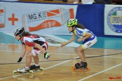 indoor_novara_2015_s480_20150525_1004108680