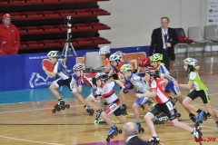 indoor_novara_2015_s482_20150525_1833419856