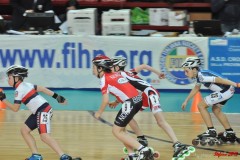 indoor_novara_2015_s483_20150525_1325615491