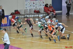 indoor_novara_2015_s499_20150525_1390720226