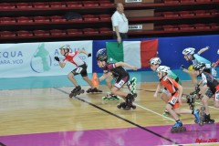 indoor_novara_2015_s500_20150525_1635783894