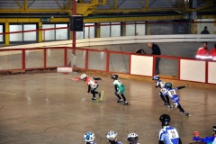 Indoor Spinea