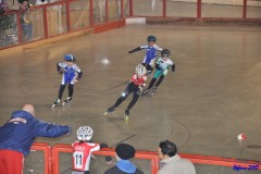 19-01_spinea_004_20130205_1048519654