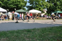 legnago_2011-05-22_s100_20110524_1633405101