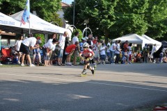 legnago_2011-05-22_s106_20110524_1918601749