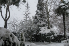 natale_09_019_20101120_2050567280