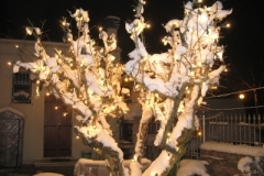natale_09_063_20101120_2059581208