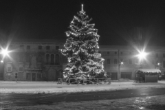 natale_09_066_20101120_1722864955