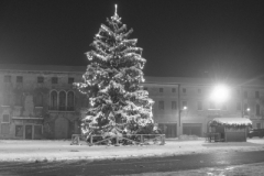 natale_09_067_20101120_1804124546