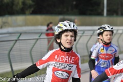 Noale_0029