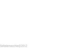 Noale_0110