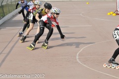 Noale_0284