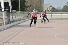 Noale_0285