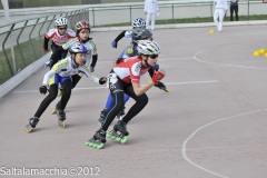 Noale_0333