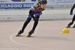 Noale_0455