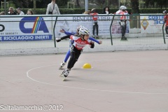 Noale_0480