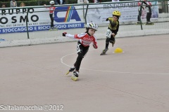 Noale_0633