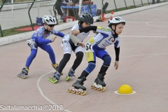 Noale_0646