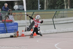 Noale_0765