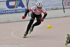 Noale_0807