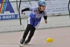 Noale_0818
