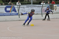 Noale_0828