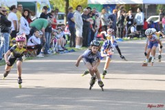 regionali_legnago_2011-04-10_s006_20110411_1740107806