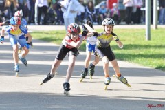 regionali_legnago_2011-04-10_s018_20110411_1016340767