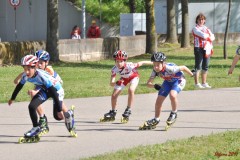regionali_legnago_2011-04-10_s031_20110411_2046543098