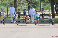 regionali_legnago_2011-04-10_s045_20110411_1971558590