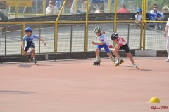 regionali_marghera_2011-05-08_s006_20110510_1362373620