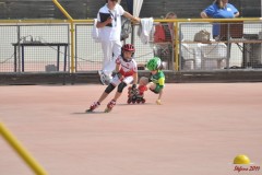 regionali_marghera_2011-05-08_s034_20110510_1861402855
