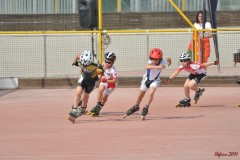 regionali_marghera_2011-05-08_s171_20110510_1012742021
