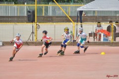 regionali_marghera_2011-05-08_s179_20110510_1637875250