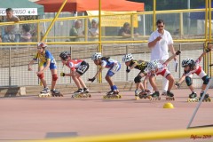 regionali_marghera_2011-05-08_s201_20110510_1897440671