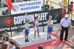 regionali_marghera_2011-05-08_s223_20110510_1318248463