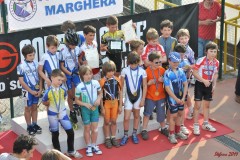 regionali_marghera_2011-05-08_s229_20110510_1953393408