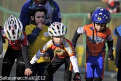 scaltenigo_0473_20120314_1162554328